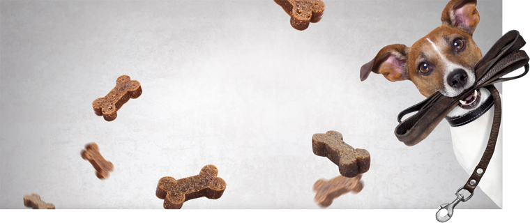 Gimdog Banner Gimdog Banner