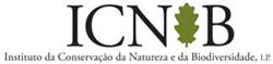 ICNB Logo