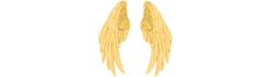 GOLD WINGS